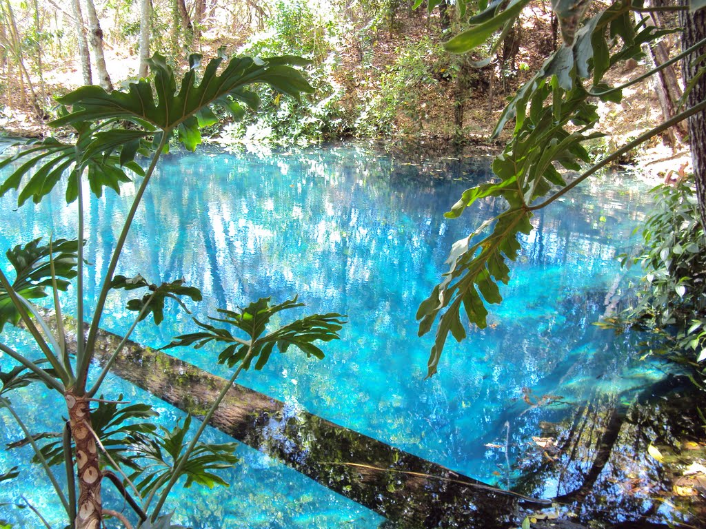 . Poço Azul de Formosa